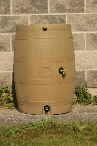  || https://assets.gardeners.com/transform/641761c7-bcb4-4dde-9581-9bac1a2e0c59/38938_01V-tif