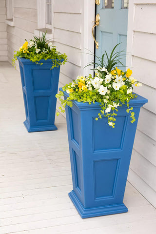  || https://assets.gardeners.com/transform/4197d081-634d-49cc-b7d3-f209f287df03/39-342_083-tif