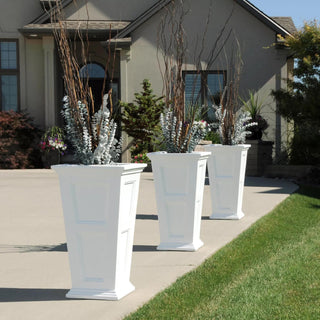  || https://assets.gardeners.com/transform/8df424a0-f284-45b2-aec0-122ee1dc0ee5/39-342_106V-tif