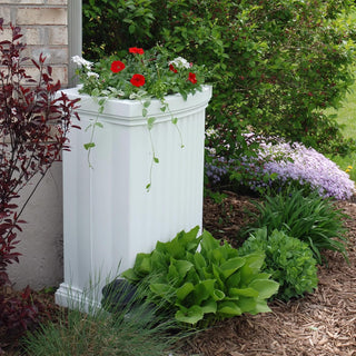  || https://assets.gardeners.com/transform/33e0044f-8024-4574-abe0-89841593c1b9/39-346_111V-tif