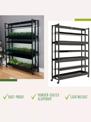  || https://assets.gardeners.com/transform/7ba9e50b-dd49-430a-98eb-bb68c9fba728/39-357_7