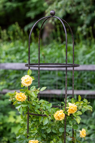  || https://assets.gardeners.com/transform/36c2d5c5-8338-43e4-8e4a-5e6b5ceee307/39-530_0049_jardin-round-tuteur-7-foot-tif