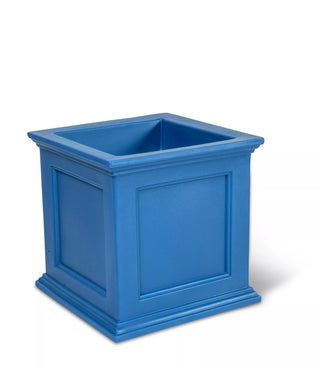  || https://assets.gardeners.com/transform/b5b5b46c-c278-4f08-984c-9f5e0281a3fa/39-618CNFL_019397-tif