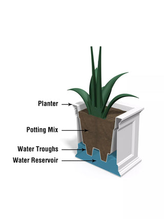  || https://assets.gardeners.com/transform/ae84bc3e-bf44-4d87-9ddc-a83faa83eae5/39-618_03V