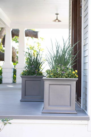  || https://assets.gardeners.com/transform/fc218536-a204-45f9-bd0c-7efb1a2de614/39-618_5545-tif