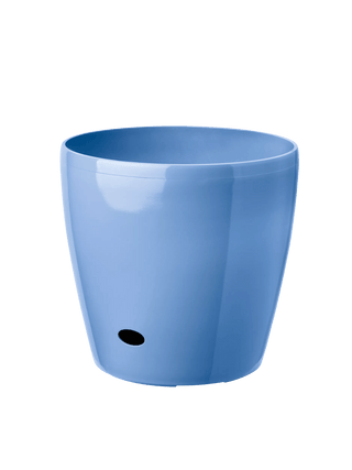  || https://assets.gardeners.com/transform/1b2bbe48-e5be-434d-8447-8fc54c1f897e/39325BL_070-tif