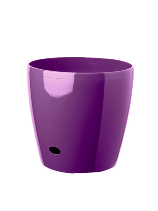  || https://assets.gardeners.com/transform/c69beb88-cb51-4731-b1a6-73cc3e1fc887/39325PR_068-tif