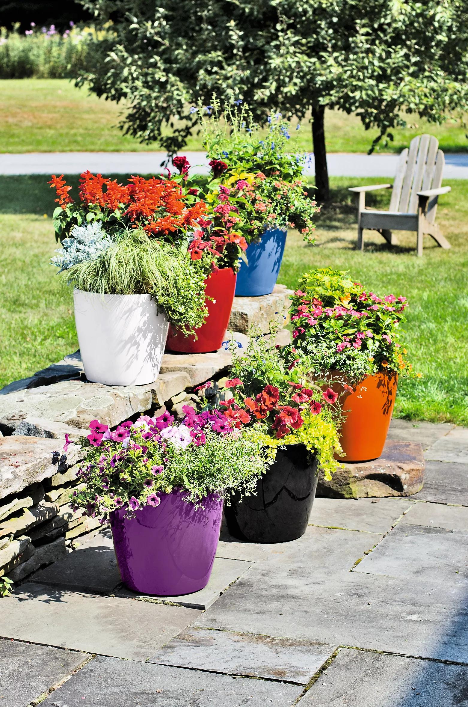 viva self watering rolling planter Viva™ Round Self-Watering Rolling Planter, 14" Diameter