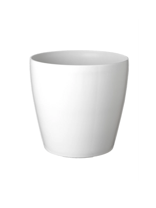  || https://assets.gardeners.com/transform/86925fb9-cc33-4557-b4b9-e42f42b3b200/39325_901-tif