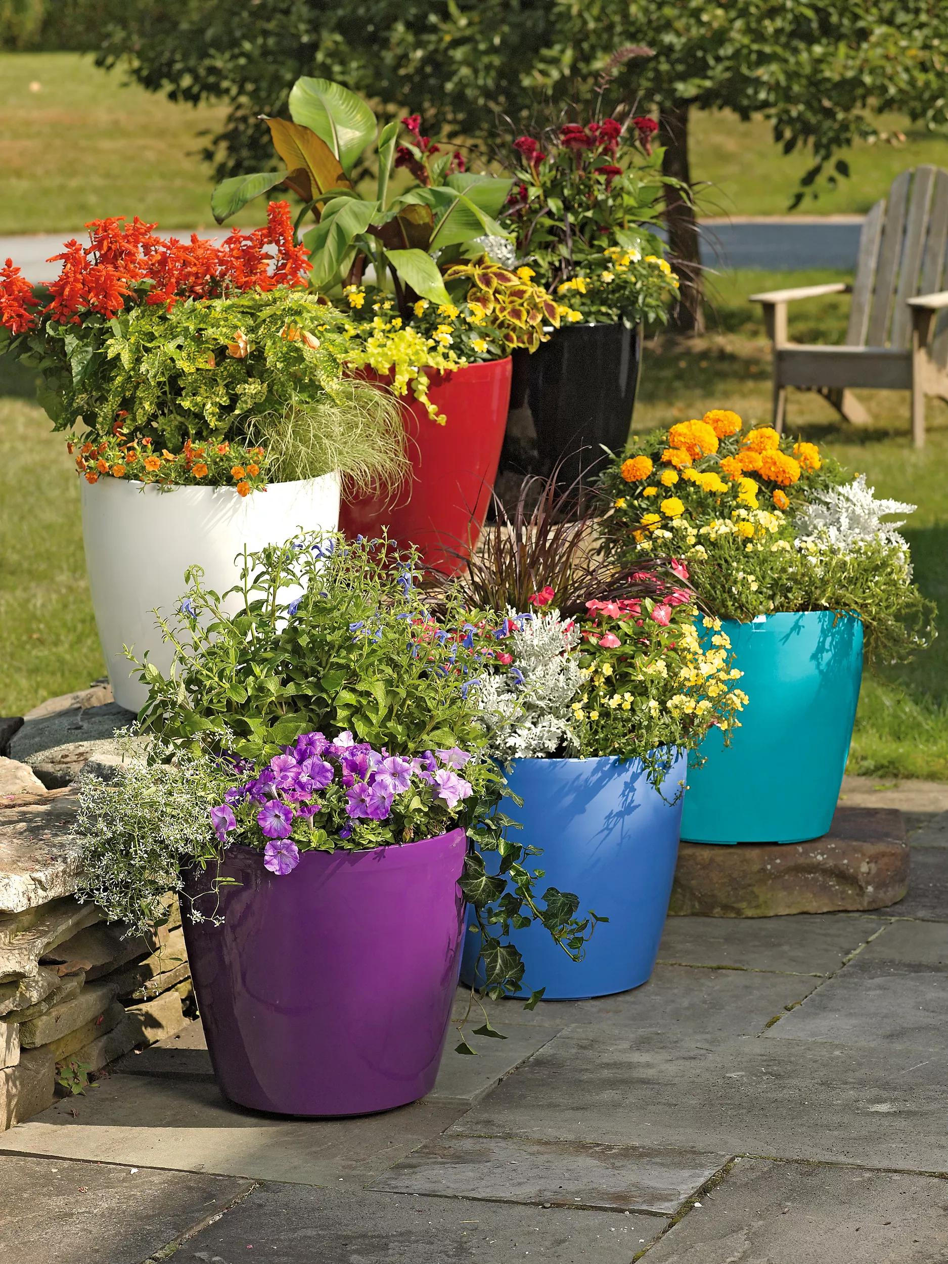 big w plant pots Large Flower Pots - Viva Self-Watering Pots