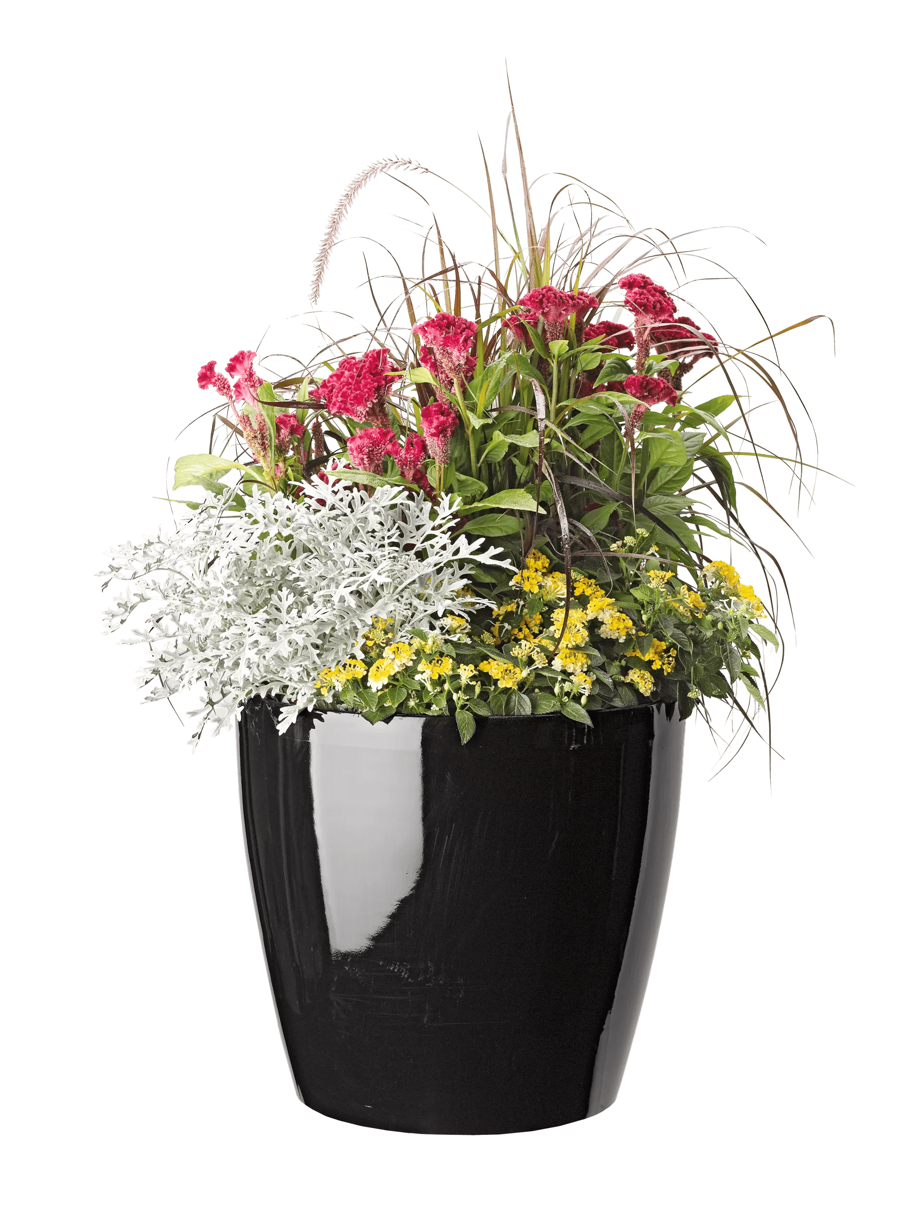 buy big plant pots Large Flower Pots - Viva Self-Watering Pots