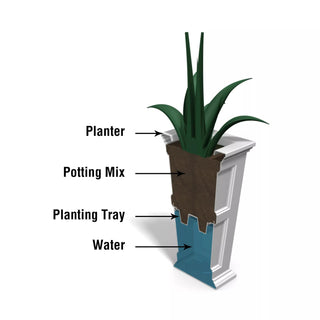  || https://assets.gardeners.com/transform/90704d6f-6377-4e51-9f43-9fd82083c3c8/39342_14V-tif