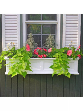  || https://assets.gardeners.com/transform/b5f0f0d9-01b8-4234-bb34-4a3d14ea78de/39344_07V-3-4