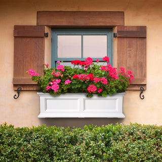  || https://assets.gardeners.com/transform/c052964c-294e-48e8-9353-b78bd9b51c94/39344_115V-tif