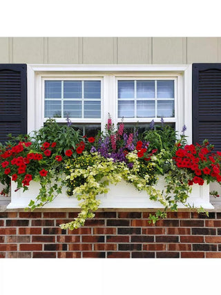  || https://assets.gardeners.com/transform/3db52574-7c17-46fc-a483-2eed765011c7/39345_106V-3-4