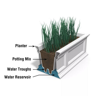  || https://assets.gardeners.com/transform/b9924dde-8b4f-4bee-9ef1-ec6577ddab74/39345_16V-tif