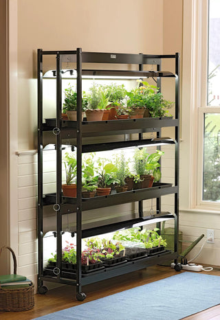  || https://assets.gardeners.com/transform/4b6f7ae3-755a-4830-afd4-454166bcac95/39357_004_grow-lights-with-three-shelves-large-tif