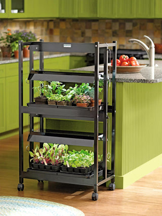  || https://assets.gardeners.com/transform/dfa1cead-d9b6-4056-a433-044c8b98e6b1/39414_005_grow-lights-with-two-shelves-small-tif
