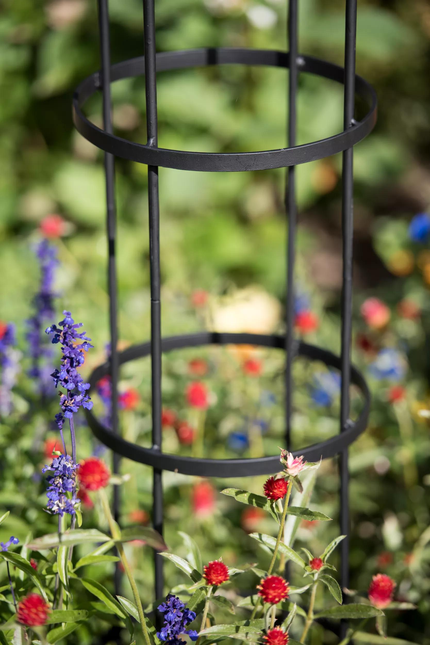 circular plant trellis Essex™ Round Trellises
