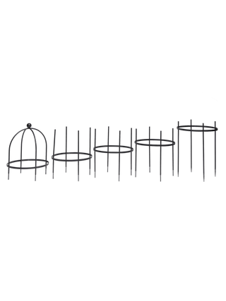  || https://assets.gardeners.com/transform/c79267ab-8f20-4e17-95e9-f829cd904df3/39545_1635z-tif