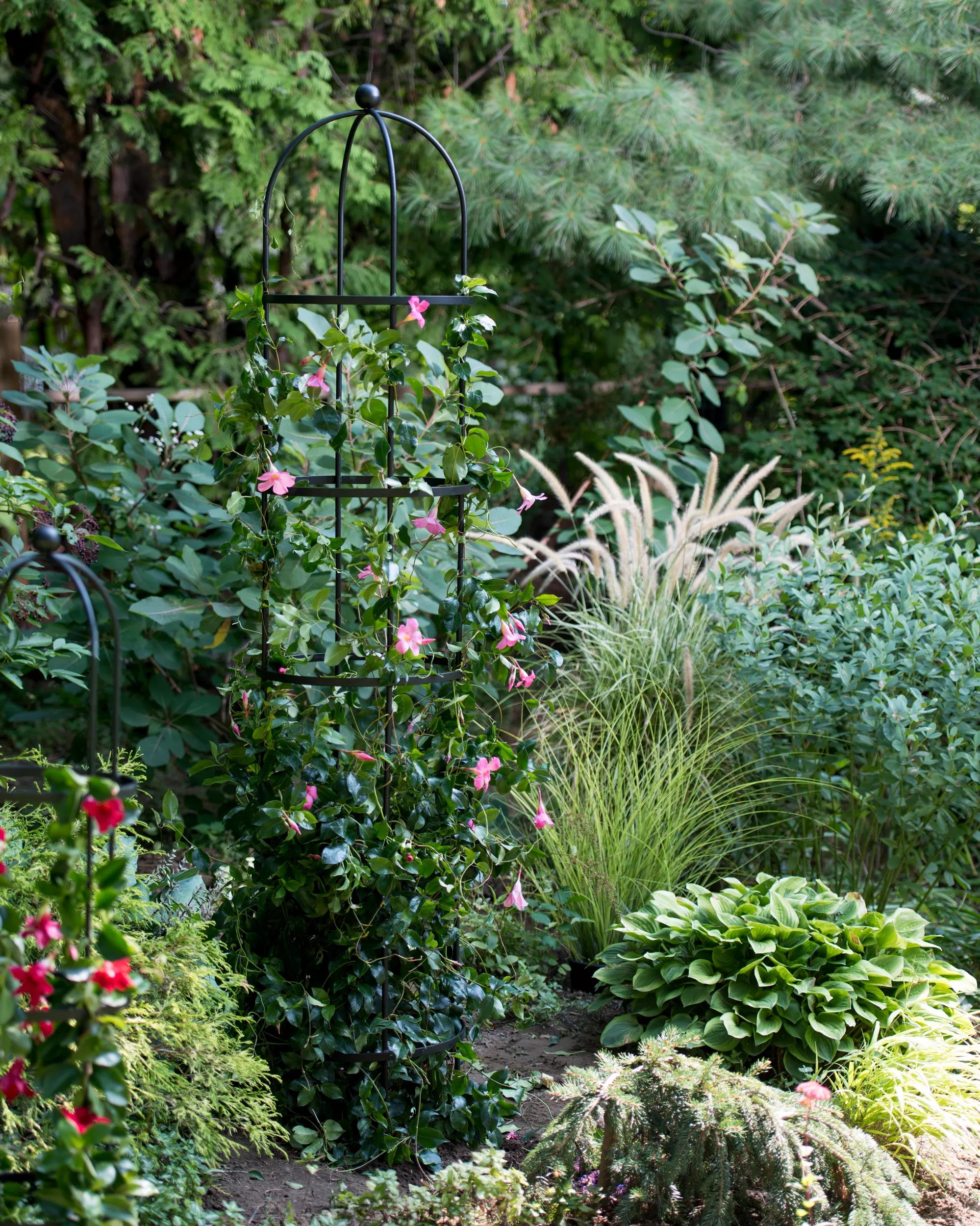 round plant trellis Essex Round Trellises