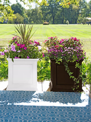  || https://assets.gardeners.com/transform/02d41281-d340-4f81-b49e-2965dd9c9887/39618_3022_001E-tif