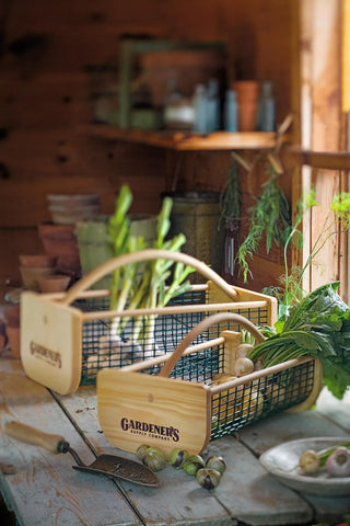  || https://assets.gardeners.com/transform/cf289cf2-f132-4b93-a889-08d7194a17a1/39761E_002-tif
