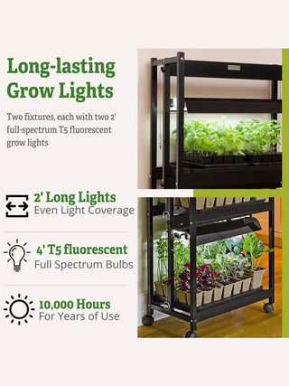  || https://assets.gardeners.com/transform/c730b24f-8780-44a7-be4d-fdef885c50a2/39_414_6