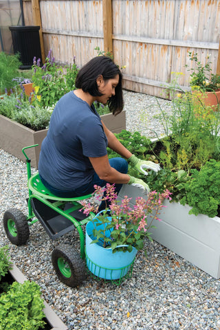  || https://assets.gardeners.com/transform/5de2d0a0-b3d3-477f-8ff8-a480783ab4fa/40-131_057-tif