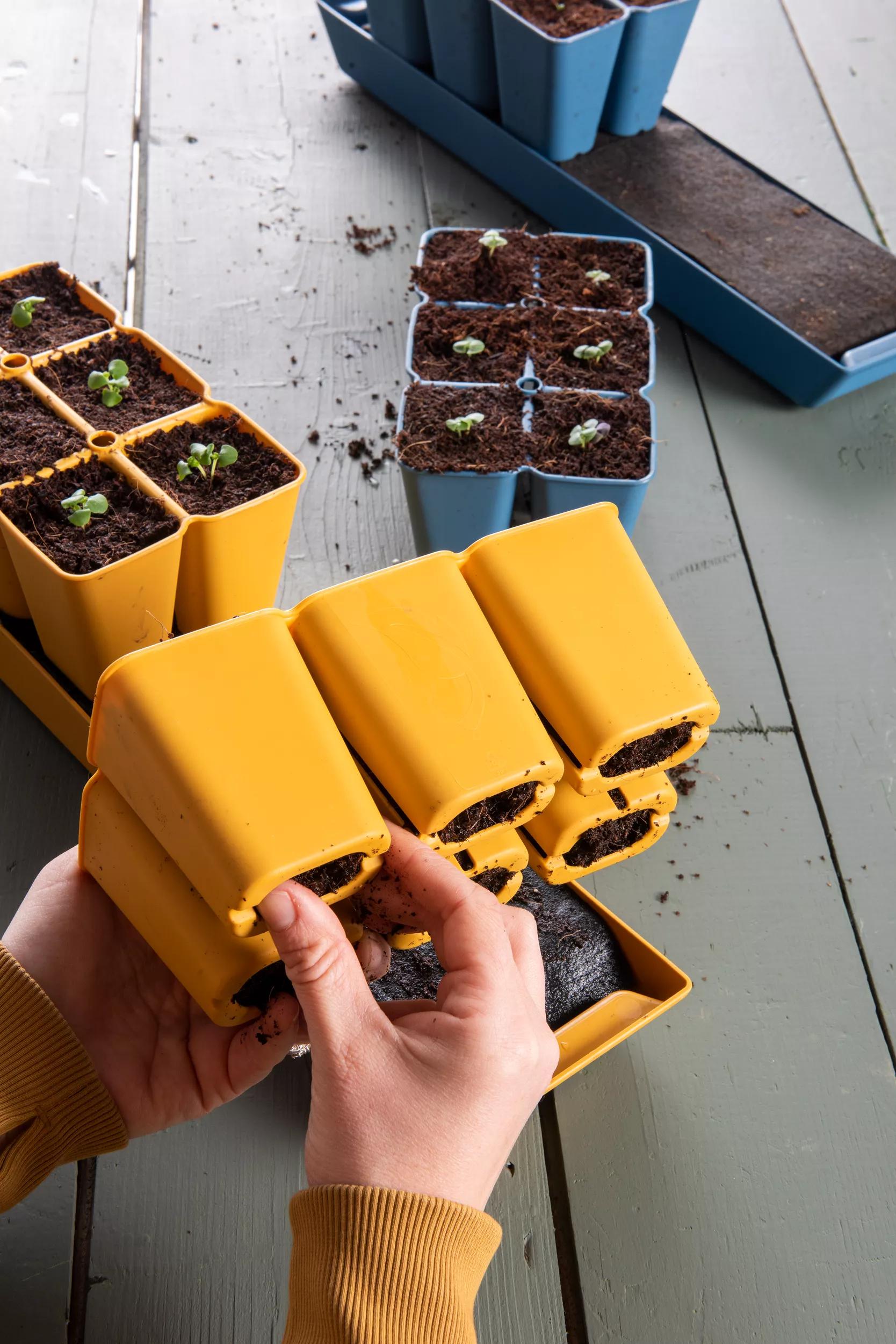 seed planting accessories Gardener's Best® XL Seed Starting Kit