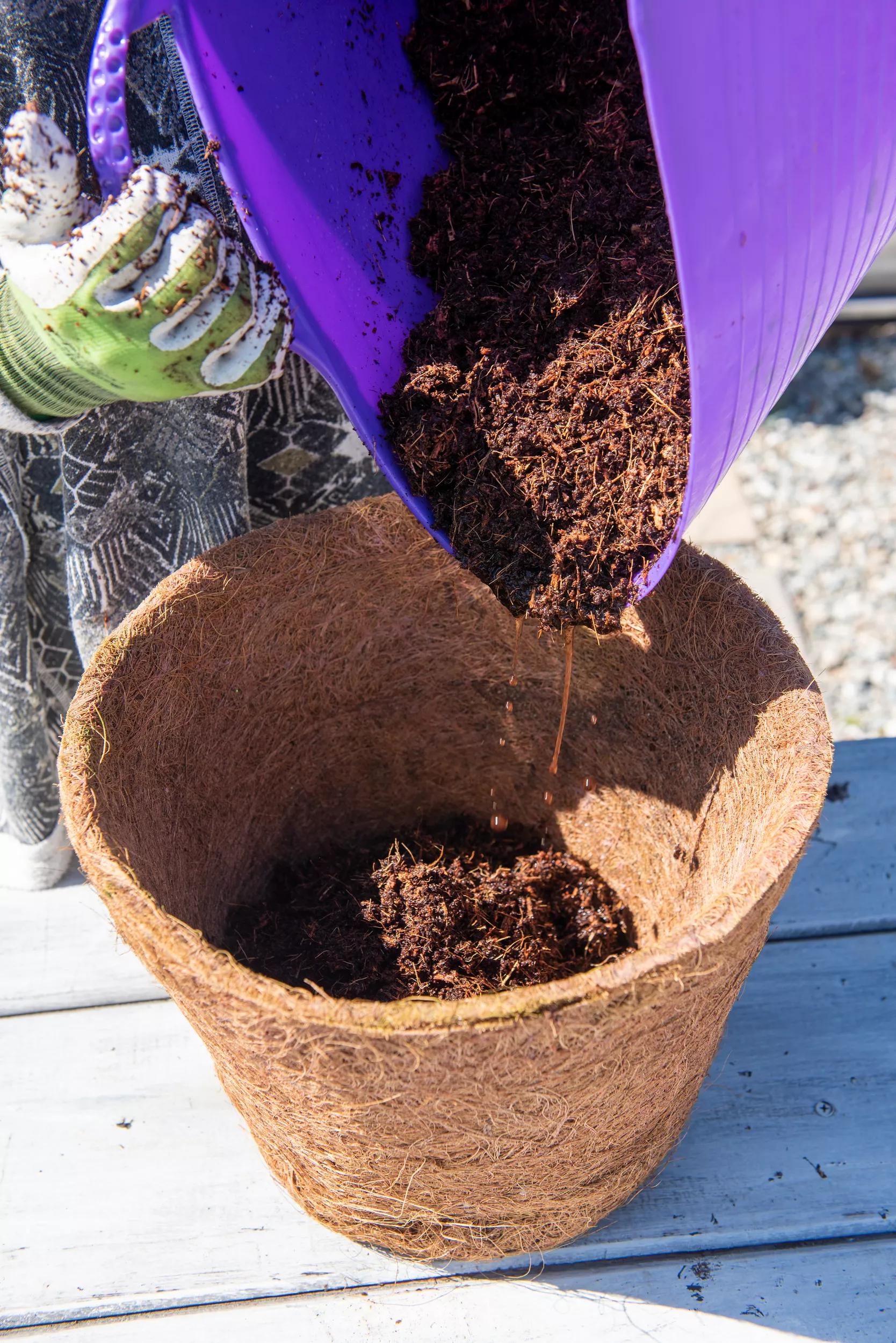 eco co coir potting mix Coco Coir Potting Mix