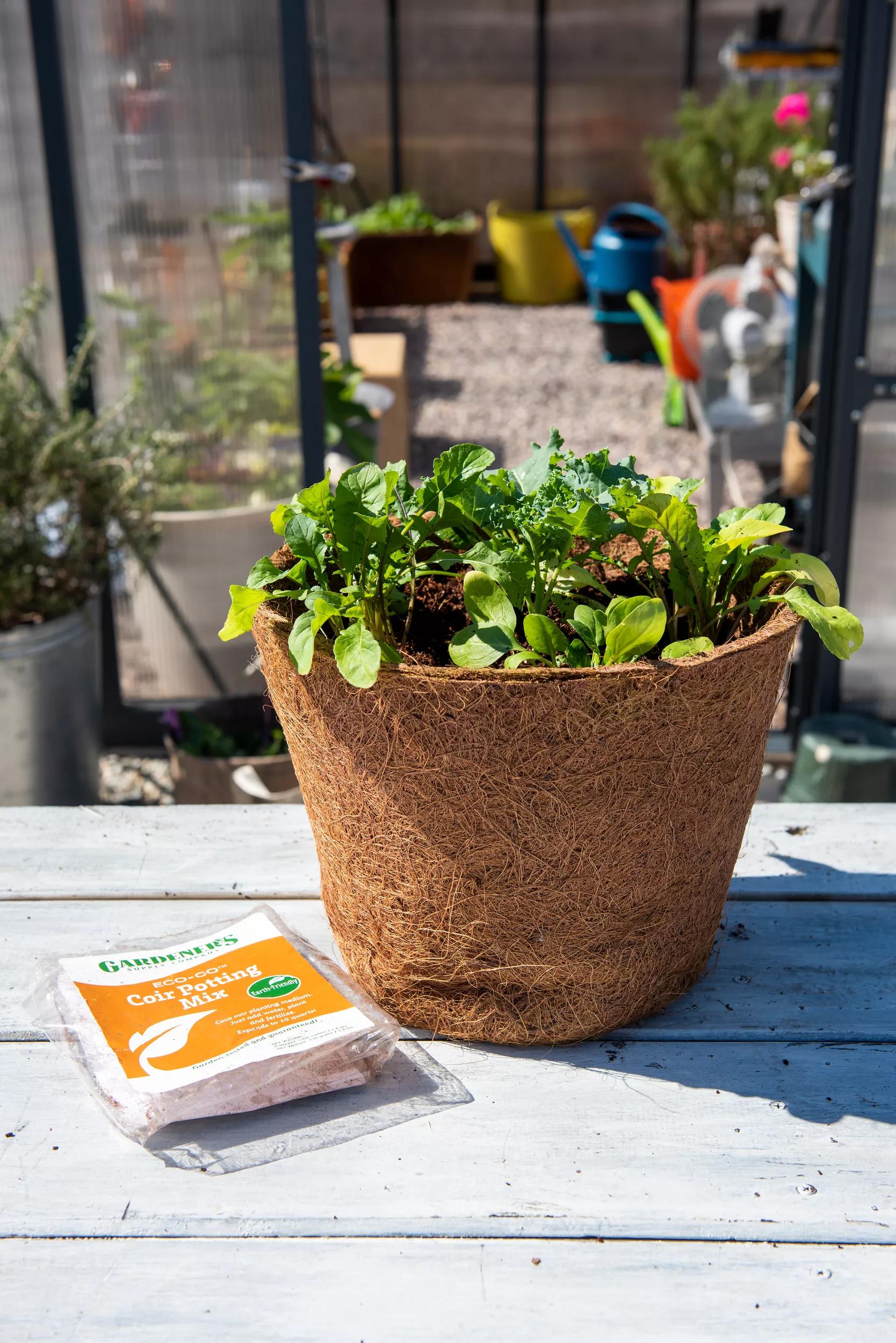 coco coir based potting mix Coco Coir Potting Mix