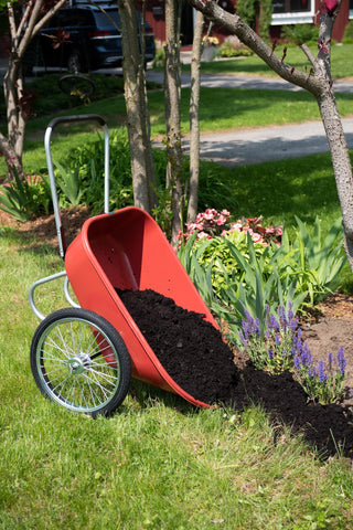  || https://assets.gardeners.com/transform/403b6886-f096-44e5-88b3-e14e53b4fb6e/40-186_0554