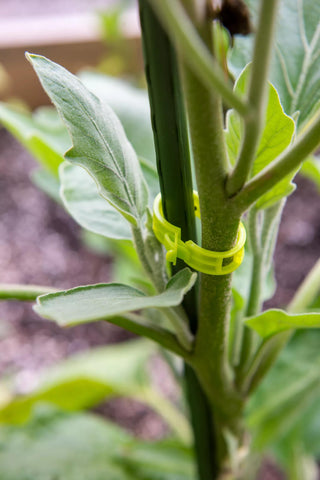 Garden Clips, Set of 48