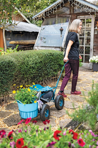  || https://assets.gardeners.com/transform/debf6111-a582-4437-ae5f-5b151cd14f76/40131_3146-tif