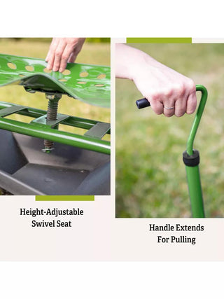  || https://assets.gardeners.com/transform/4909446c-a0a9-4f3d-8fca-530f58869d0a/40131_5