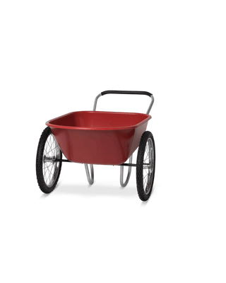  || https://assets.gardeners.com/transform/c78031f1-2e27-423a-954e-7def5cd63a02/40186_085-tif