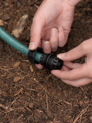  || https://assets.gardeners.com/transform/d69a00b9-88a6-4838-a0f1-cd9cf086275c/40205_083-tif