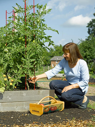  || https://assets.gardeners.com/transform/f2d7f191-7674-4c75-9436-6733ba46ef84/40309_4116-tif