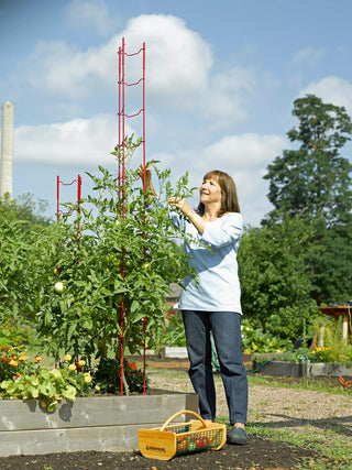  || https://assets.gardeners.com/transform/9fe112ad-af52-4386-8614-50f77dd268f4/40309_4147-tif