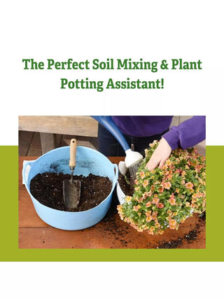  || https://assets.gardeners.com/transform/1b08b172-ce8f-4484-9ab5-aa1e29dad71b/40326_5