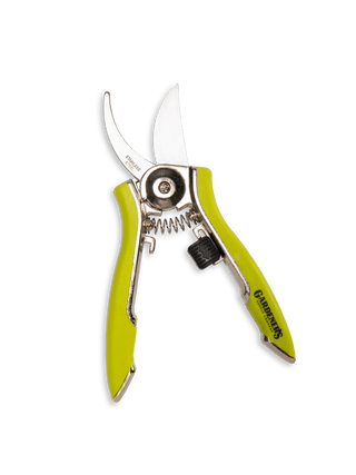  || https://assets.gardeners.com/transform/5eb60d17-7f4d-4fb7-8edf-1634154d3e18/8586314_020-tif