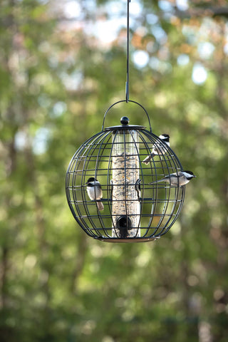 Mixed Seed Globe Cage Feeder