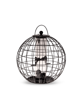  || https://assets.gardeners.com/transform/00ba5fa9-91e3-416e-8d2b-8afa7e74ccb1/8586659_6389