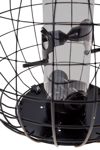 Mixed Seed Globe Cage Feeder