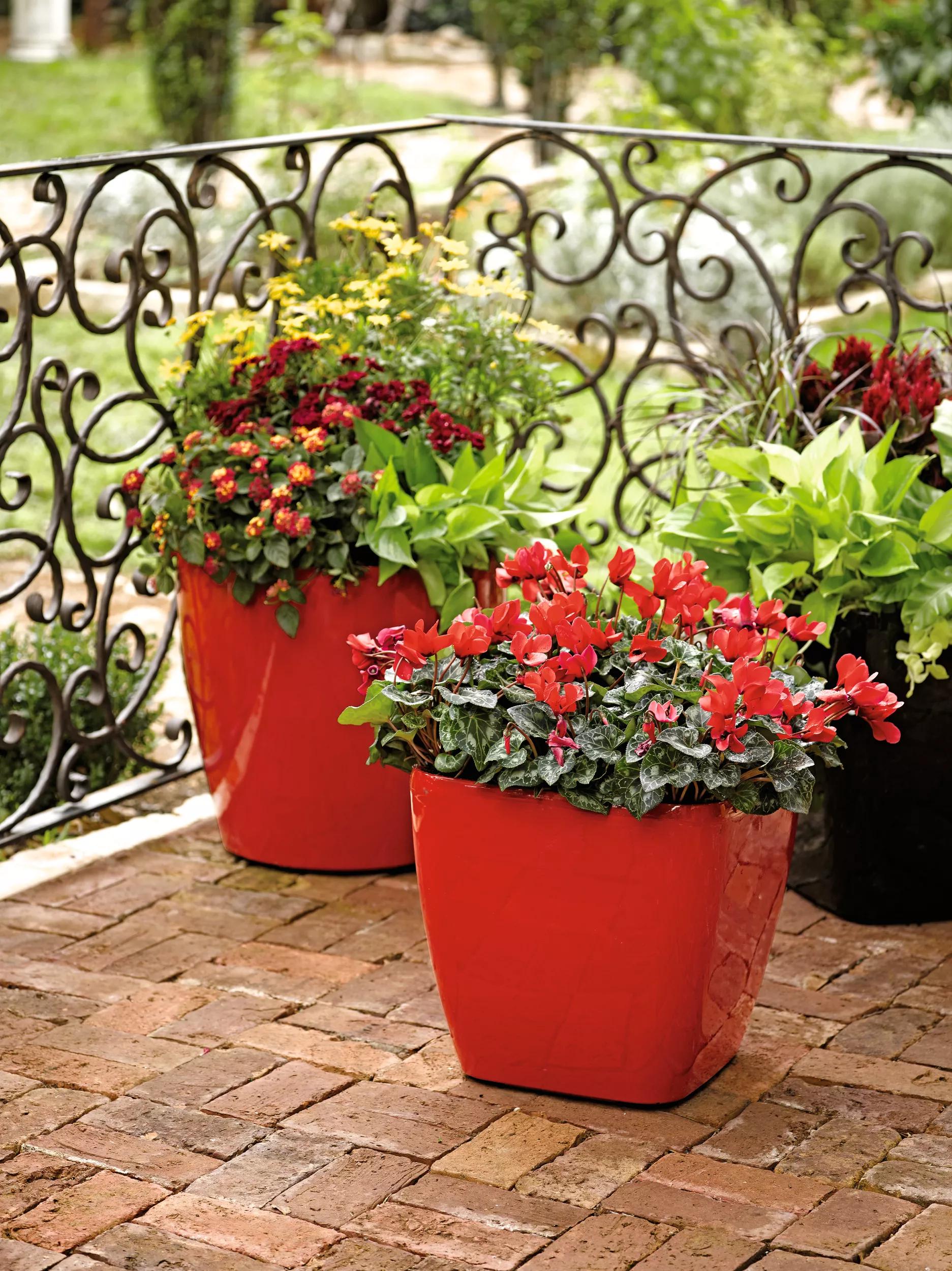 square garden plant pots Small Square Planters: Viva Square Rolling Planters