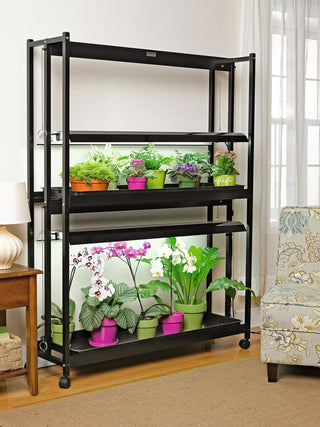  || https://assets.gardeners.com/transform/53b62527-1b16-4d03-bd1a-b88e021726ee/8586718_2221_high-intensity-grow-lights-with-two-shelves-tif