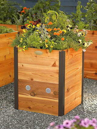  || https://assets.gardeners.com/transform/0f5ab54f-1904-473e-ad50-f40bcab04030/8586749_854-tif