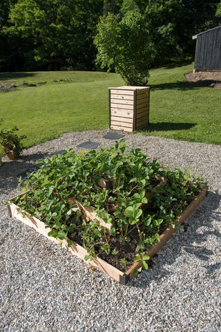  || https://assets.gardeners.com/transform/66c54110-241f-495f-b18c-799a929b02a7/8586752_2341-tif