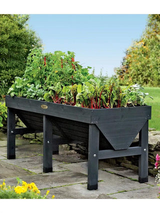  || https://assets.gardeners.com/transform/84c91a02-c081-4936-8582-4bf35a8fccd3/8586918_002_3-4